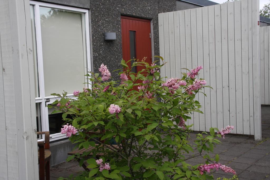 Frumskogar Guesthouse & Apartments Hveragerdi Eksteriør bilde