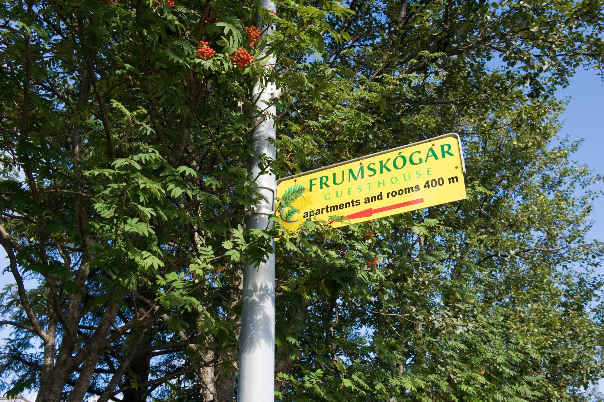 Frumskogar Guesthouse & Apartments Hveragerdi Eksteriør bilde